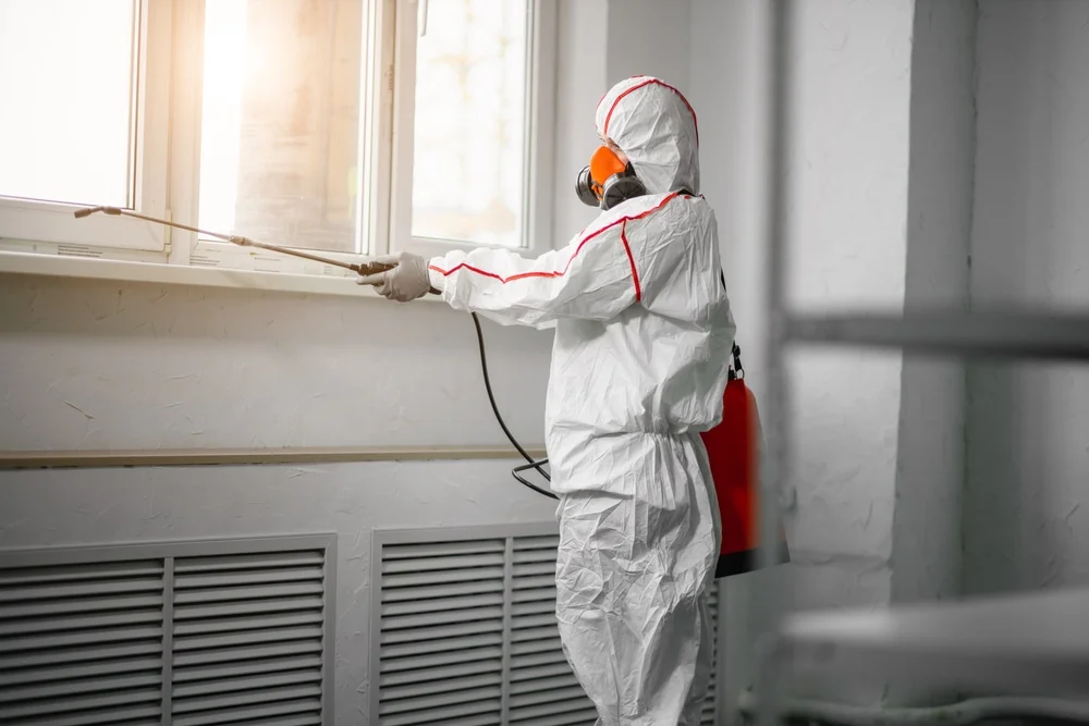 Professional mold remediation services in Shiloh, GA